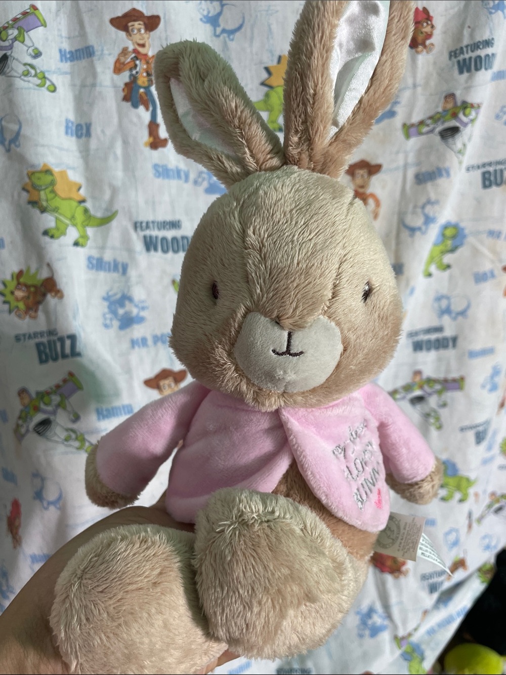 Beatrix Potter Peter Rabbit Flopsy pink Plush and My First Easter Lovie